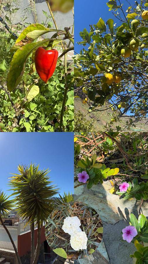 Appartement entier, One-Bedroom Apartment in La Aldea de San Nicolás, Gran Canaria Ouest