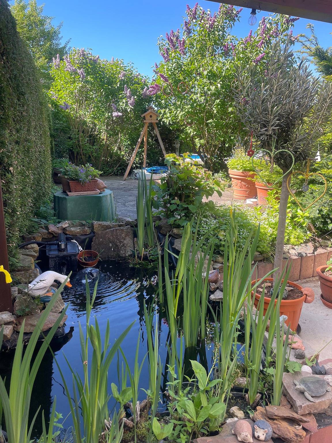 Vakantiewoning 'Uschi' met zwembad, gemeenschappelijke tuin en wifi, foto 10
