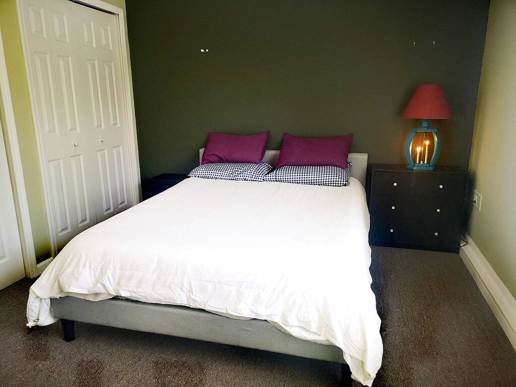 2Br Family-Sized Lower Suite with Private Entrance & Spacious Backyard! in Oakland County