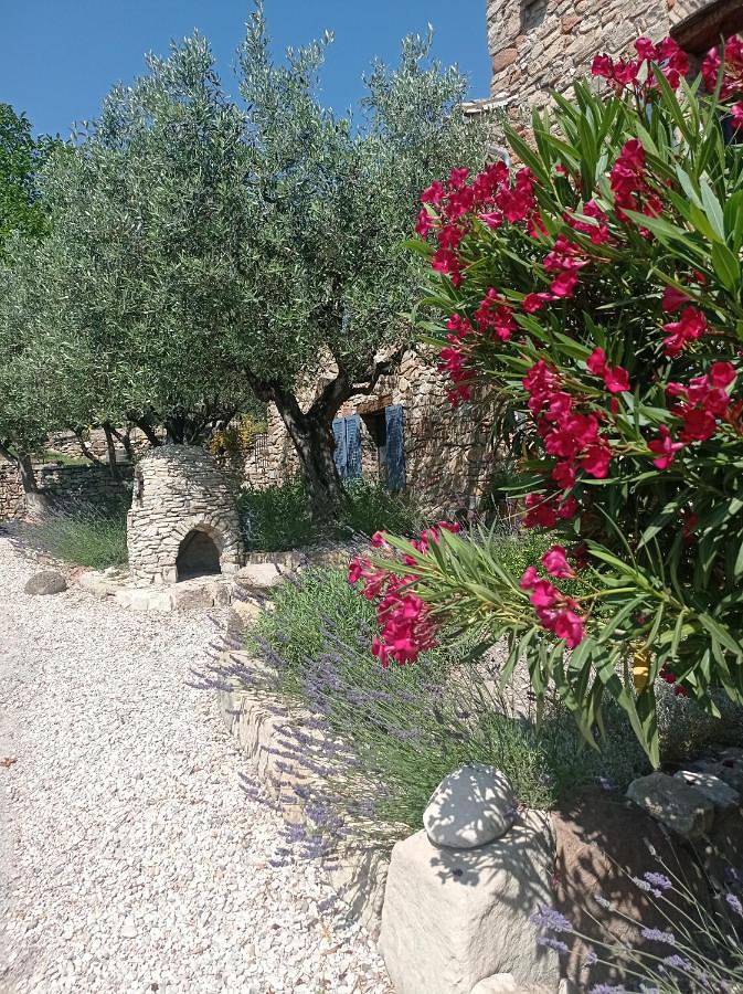 Location de vacances pour 4 personnes, avec Terrasse et Jardin ainsi que Piscine et Vue à Aubres