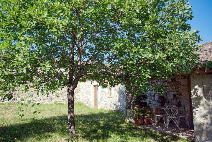 Maison de vacances pour 4 personnes, avec Jardin dans le Tarn-et-Garonne - 4
