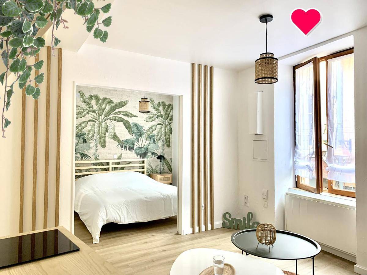 Appartement entier, Charmant appartement au cœur de Neuville - Lyon à 20mn in Neuville-sur-Saône, Lyon et ses environs