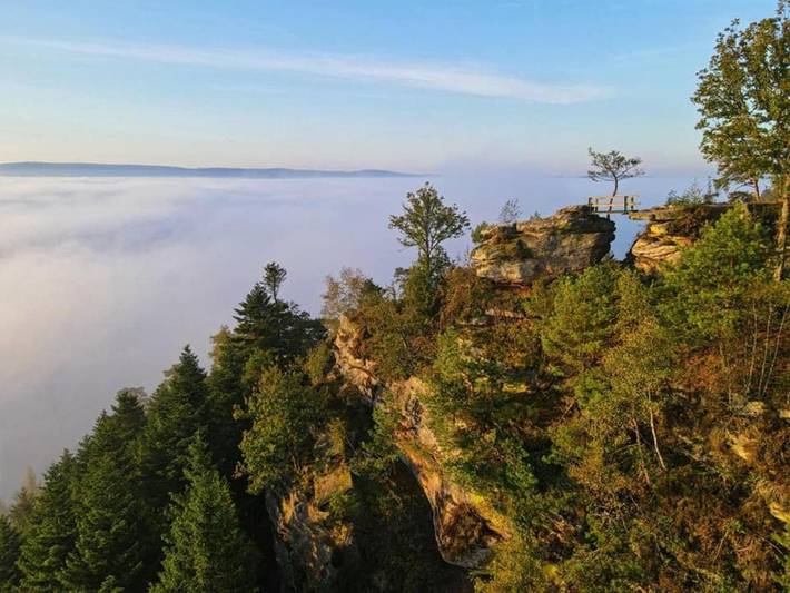 Gîte pour 4 personnes, avec terrasse et jardin à Étival-Clairefontaine - 2