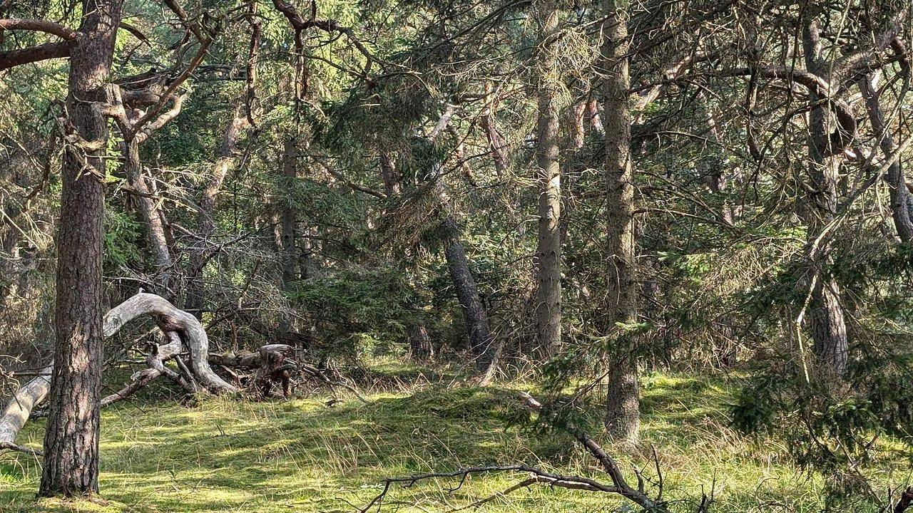 Ferienhaus für 8 Personen (86 m²) in Melby in Hundested, Hovedstaden