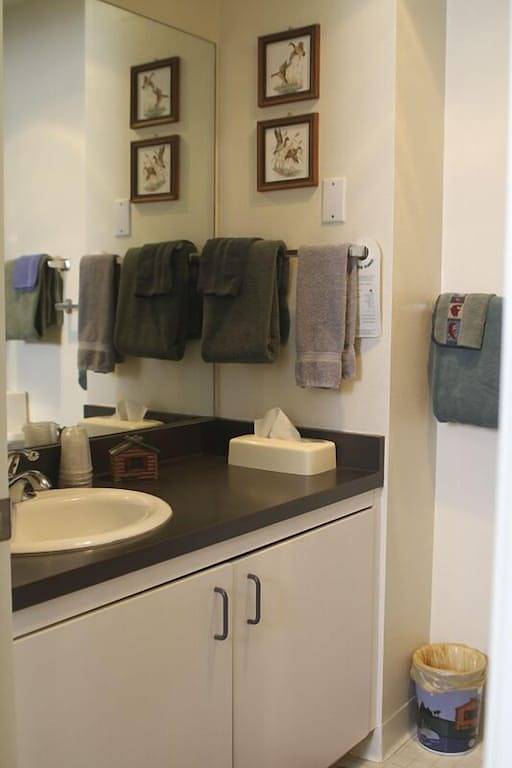 Ganze Wohnung, 'Best Deal in Telluride Tbl # 3080 in Telluride, Telluride Ski Resort