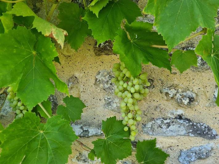 Location de vacances pour 3 personnes, avec bassin pour enfant et jardin ainsi que piscine et vue à Saint-Sylvestre-sur-Lot - 4