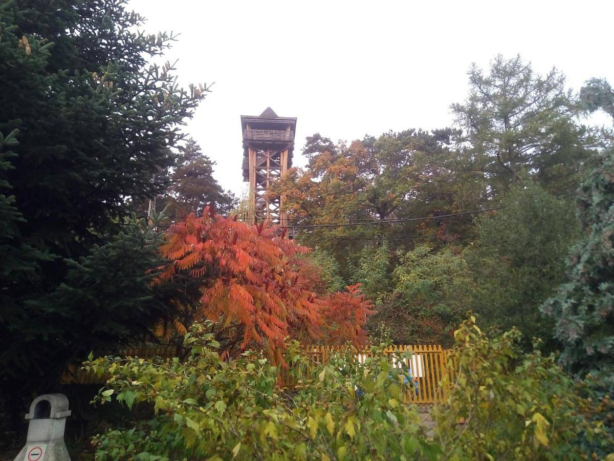 Rita Vendégszobák in Sopron, Raab-Wieselburg-Ödenburg