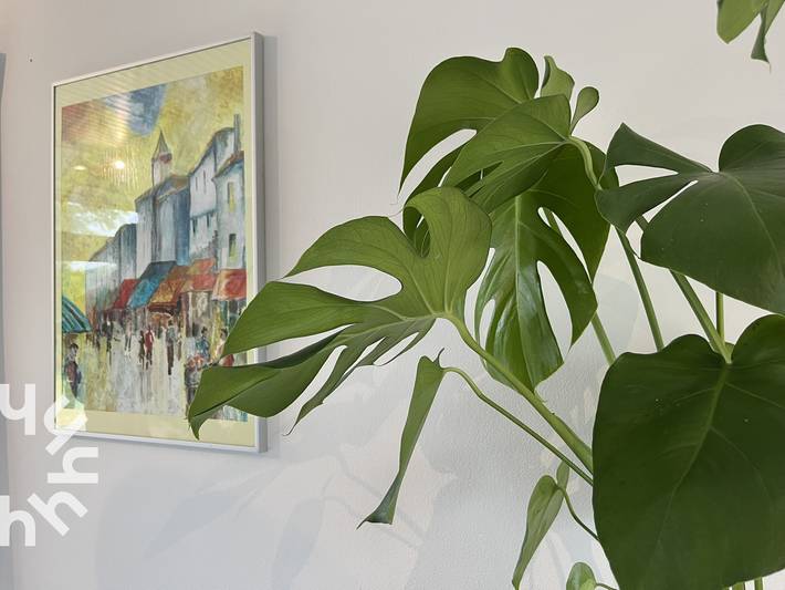 Bungalow für 4 Personen, mit Terrasse und Garten in Westkapelle - 4