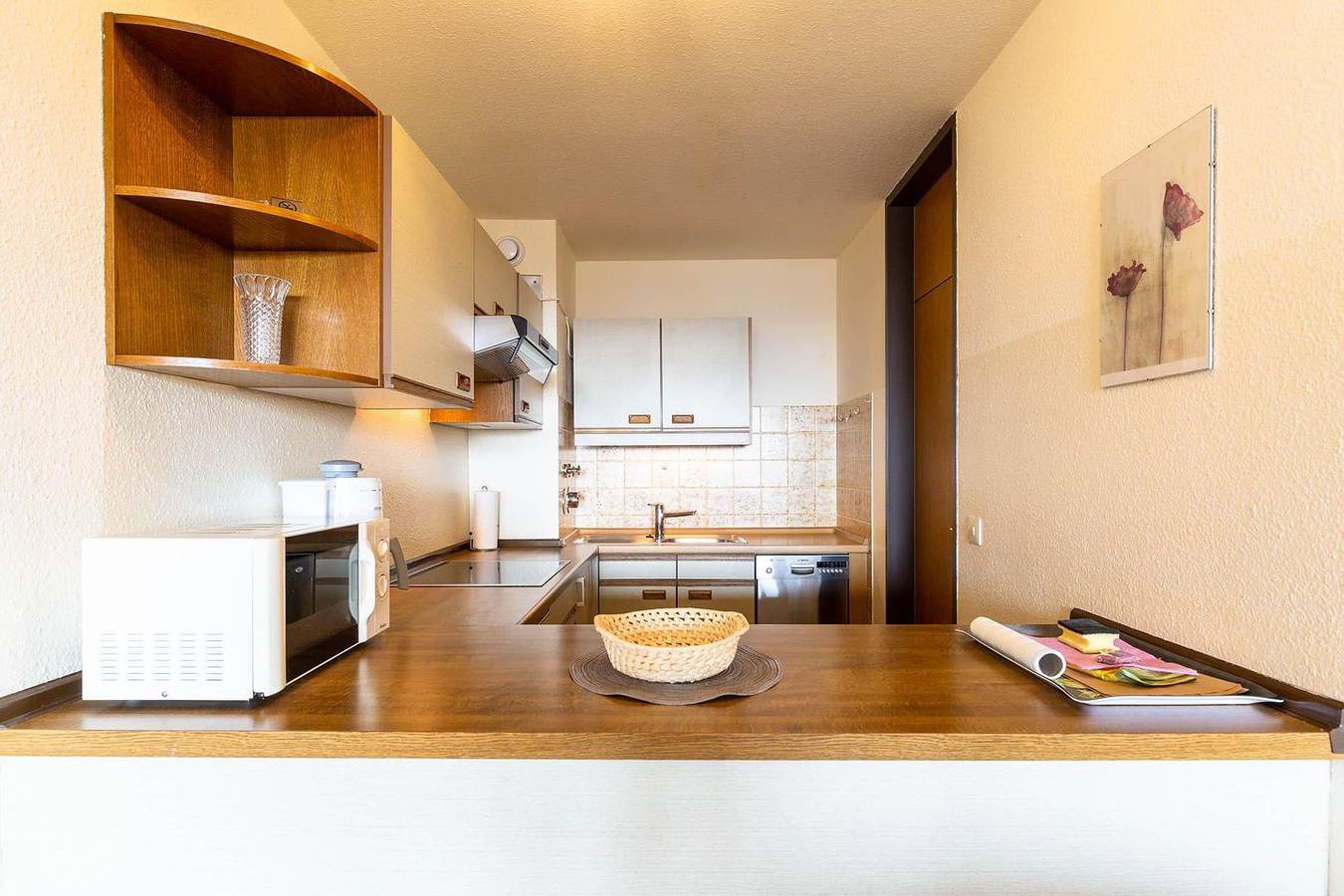 Ganze Wohnung, 2-Zimmer-Apartment (Typ 3) in Immenstaad am Bodensee, Region Bodensee-Oberschwaben
