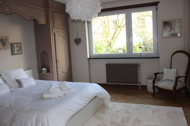 Appartement entier, Gîte meublé de tourisme 170 m2, classé 4*, au calme vue sur rivière in Strasbourg, Région de Strasbourg