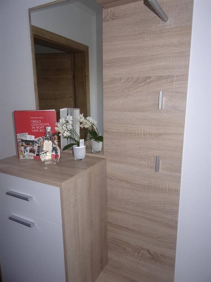 Ganze Ferienwohnung, Apartment Panorama in Bruck am Ziller, Kaisergebirge