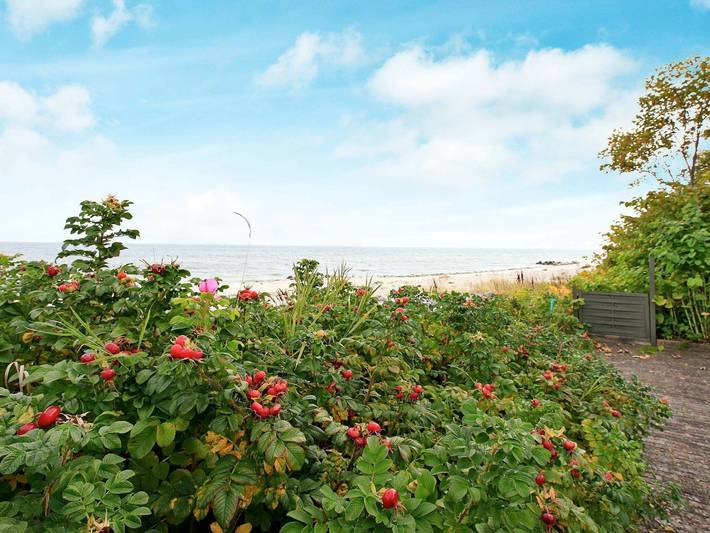 Ferienhaus für 6 Personen, mit Terrasse in Dänemark - 4