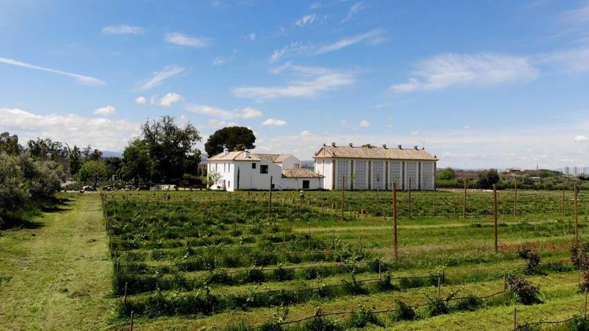 Casa rural para 2 personas, con terraza además de jardín y vistas en Vega de Granada - 3