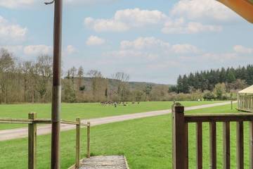 Glamping for 6 People in Gloucestershire, South West England, Photo 3