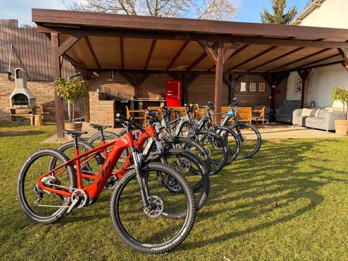 Villa für 18 Personen, mit Garten und Whirlpool sowie Pool, mit Haustier am Balaton - 4