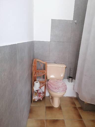 Gîte pour 2 personnes, avec piscine et terrasse, animaux acceptés à L'Isle-en-Dodon - 4