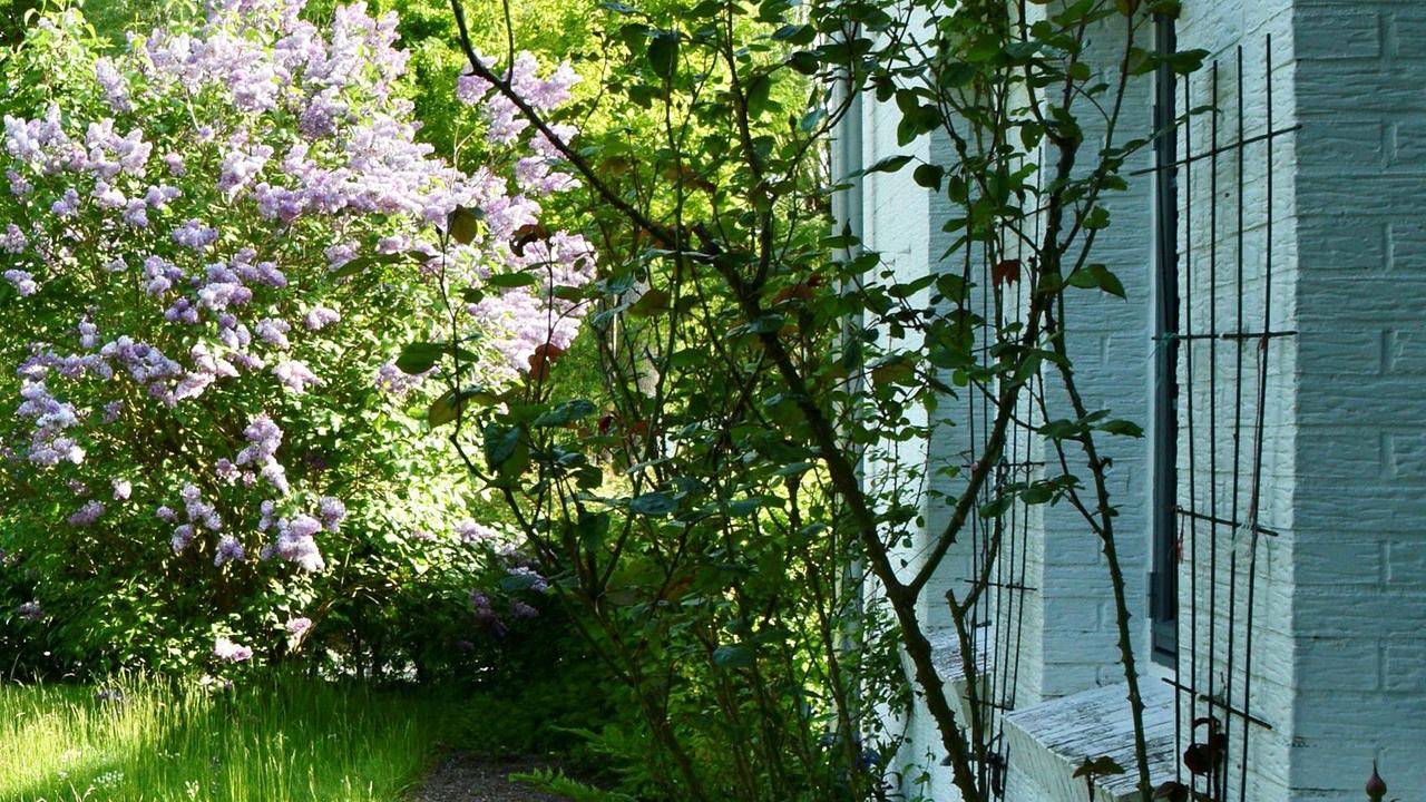 Ferienhaus für 7 Personen (94 m²) in Twedt in Twedt, Schleswig-Flensburg