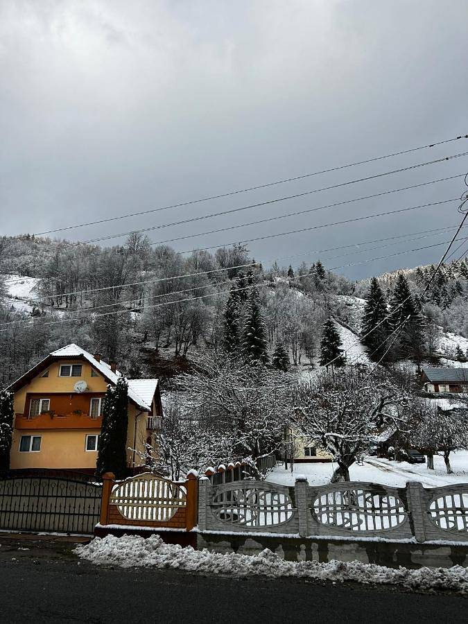 Maison d’hôte pour 2 personnes, avec jardin et vue, animaux acceptés à Alba (Romania)