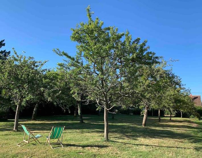 Location de vacances pour 8 personnes, avec vue et jardin à Malétable - 4