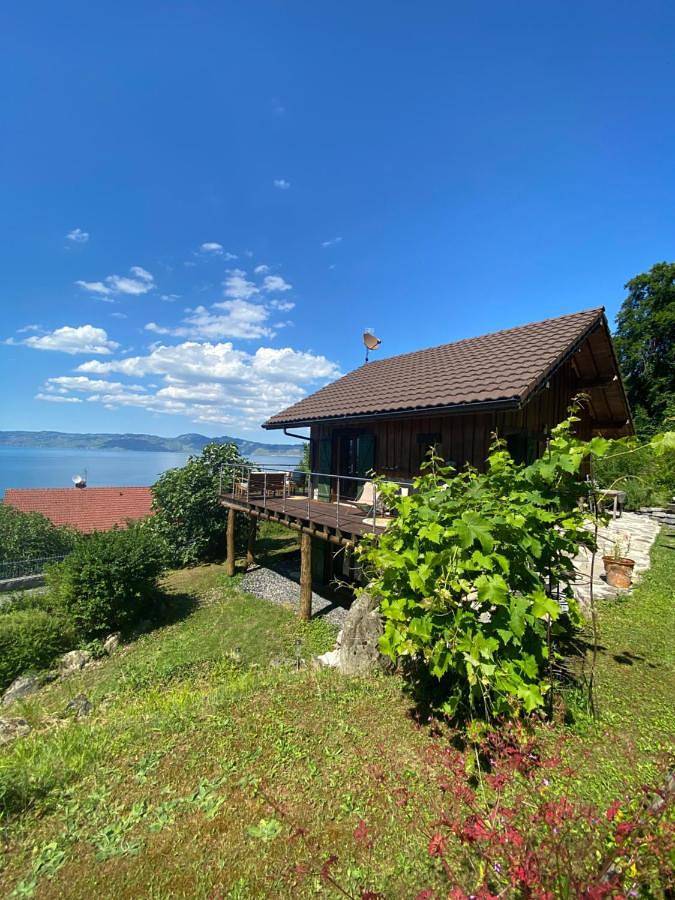 Three-Bedroom Chalet in Meillerie, Région de Thonon-les-Bains