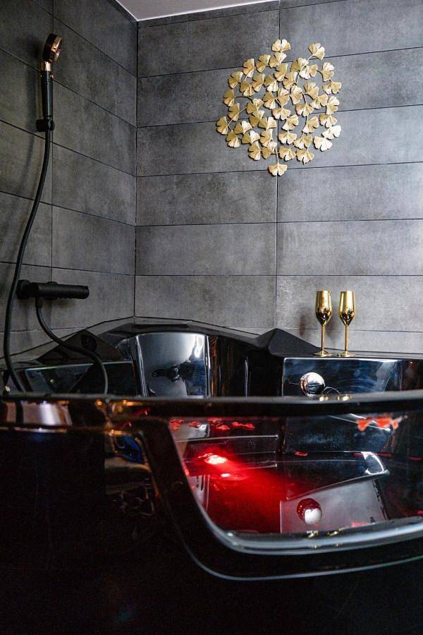 Gîte pour 2 personnes à Ornex - 3