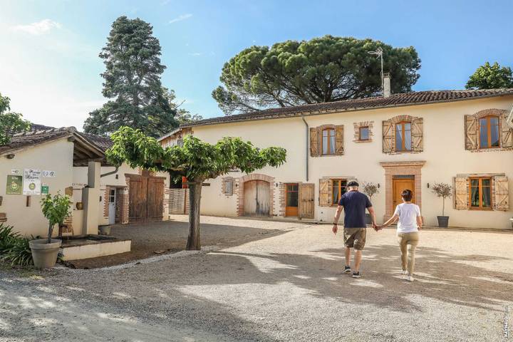 Gîte pour 8 personnes, avec terrasse et piscine à Gaillac - 3