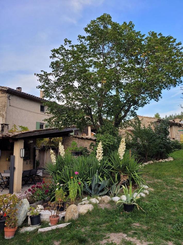 Gîte pour 8 personnes, avec jardin dans la Drôme - 4