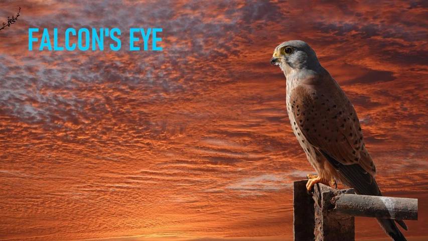 Appartement de vacances pour 7 personnes, avec balcon ainsi que vue et jardin