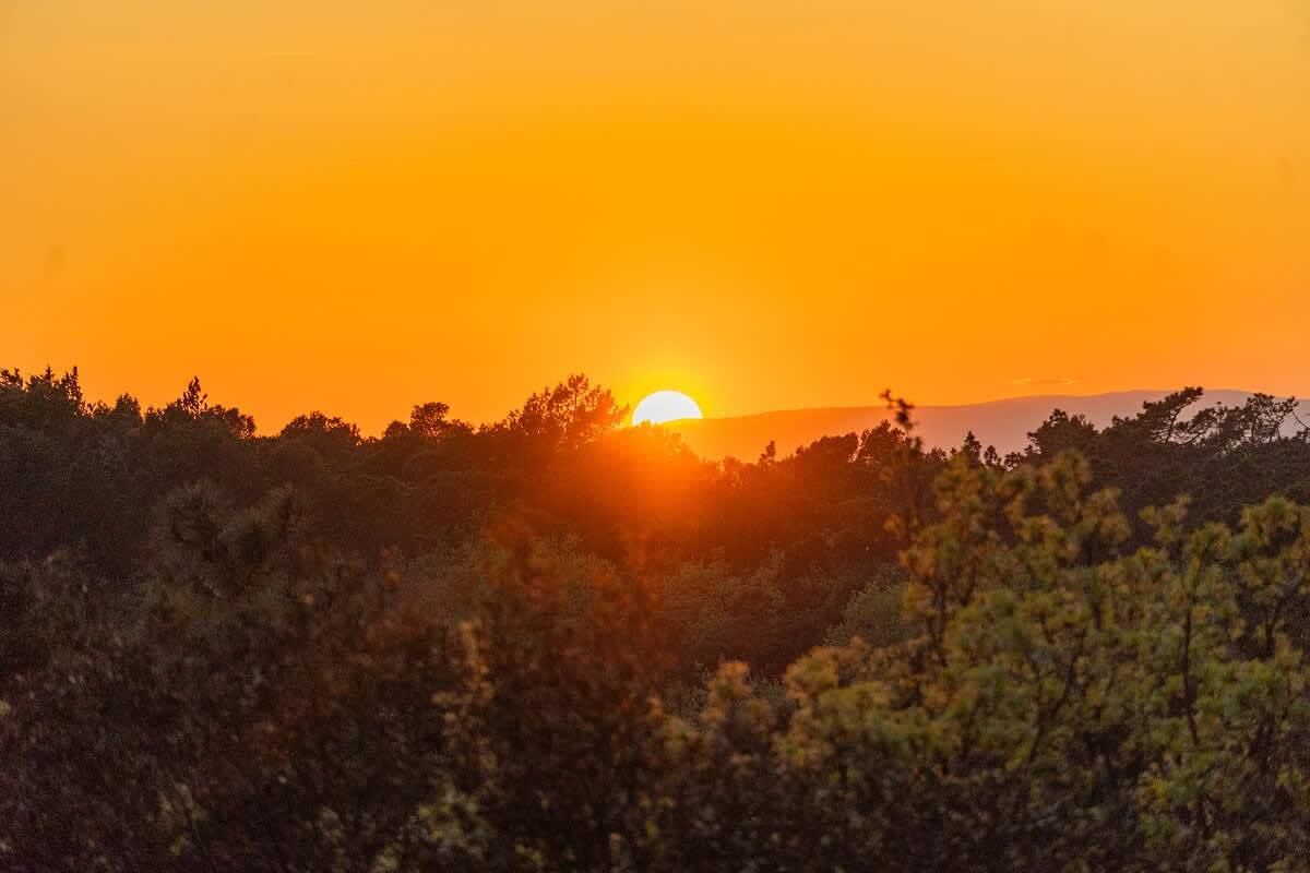 ※ La Forêt Enchantée ※ Refuge au coeur du Vaucluse in Mondragon, Vaucluse