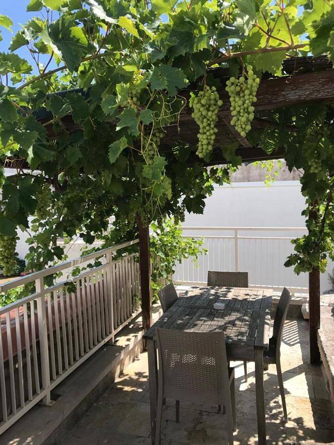 Chambre d’hôte pour 5 personnes, avec jardin et vue, animaux acceptés à Alberobello - 3