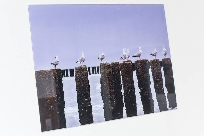 Ferienwohnung für 5 Personen, mit Garten an der Nordsee - 2