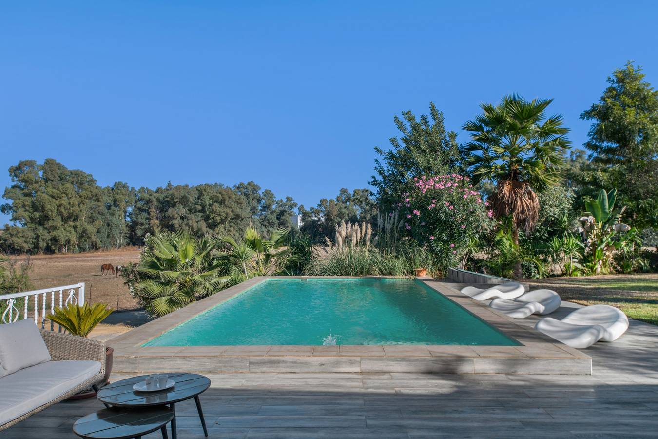 Maison de campagne 'La Zua' avec piscine privée, Wi-Fi et climatisation in Villamartín, Pueblos Blancos