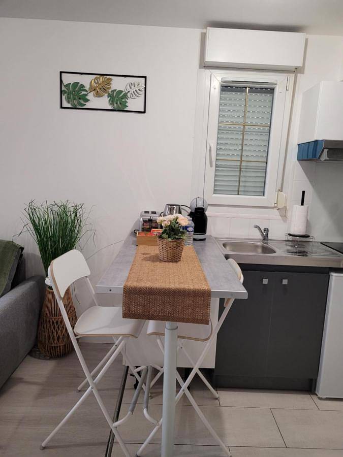 Appartement entier, One-Bedroom Apartment in Survilliers, Val-d'Oise
