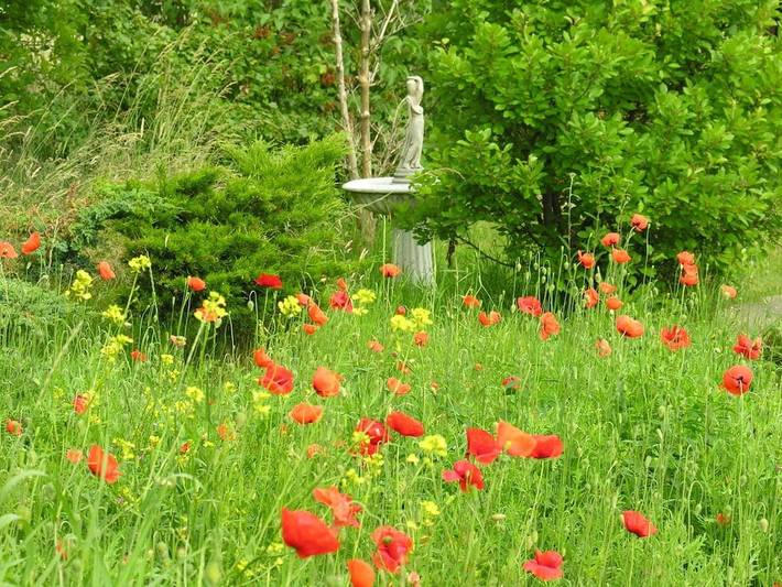 Ferienhaus für 3 Personen, mit Garten in Mahlzow - 3
