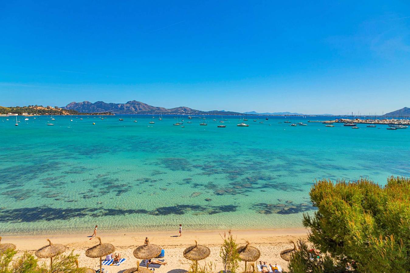 Ganze Wohnung, Seafront Apartment Voramar 31 by Sealand Villas in Port de Pollença, Pollença