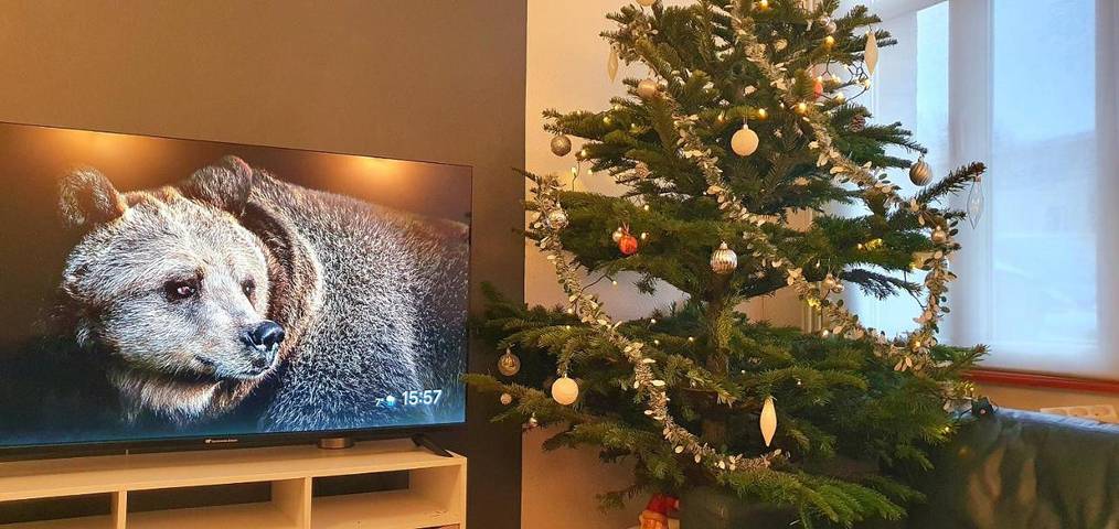 Location de vacances pour 6 personnes, avec jardin et vue à Amiens - 3