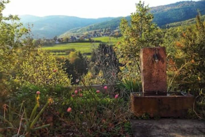 Entire apartment, Gite in the heart of nature with panoramic view n°1 in Osenbach, Parc naturel régional des Ballons des Vosges