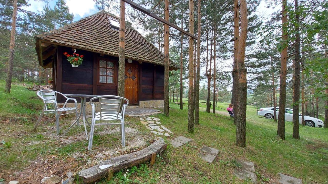 Vajat Kovačević in Divčibare, Serbia Centralna