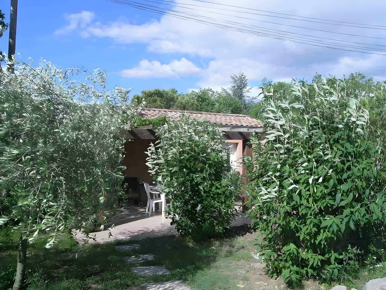 Gîte l'oliveraie – rustig en schaduwrijk, foto 12