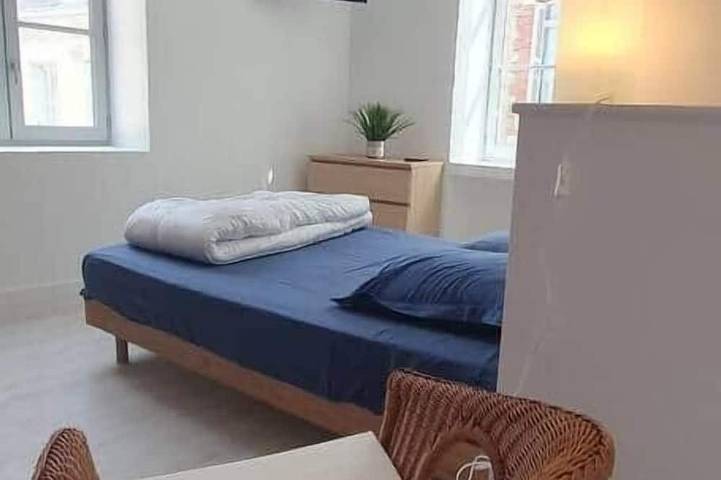 Gîte pour 2 personnes, animaux acceptés à Bourgueil - 2
