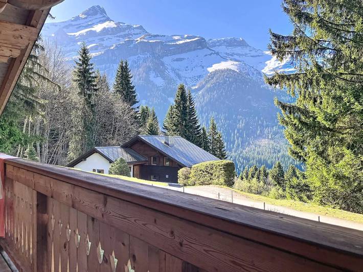 Chalet 10 Personnes in Les Diablerets, Ormont-Dessus (Les Diablerets)