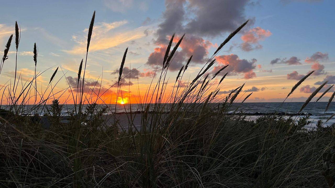 Ferienhaus für 12 Personen (173 m²) in Hundested in Hundested, Kattegat Küste