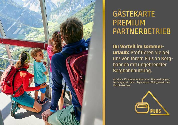 Ferienwohnung für 7 Personen, mit Terrasse in Dalaas - 3