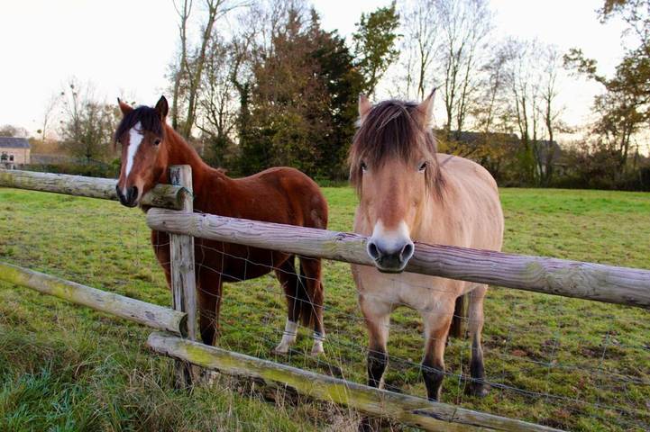 Tente pour 2 personnes, avec vue et jardin dans le Calvados - 2