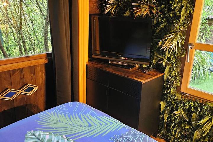 Gîte pour 5 personnes, avec jardin et jacuzzi ainsi que sauna et terrasse, animaux acceptés à Saint-Jean-du-Pin - 4
