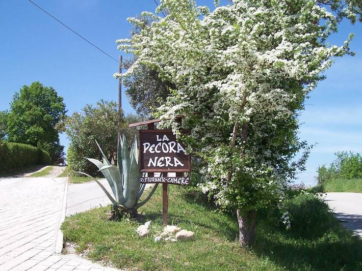 Location de vacances pour 2 personnes, avec jardin ainsi que piscine et vue à Mosciano Sant'Angelo - 4