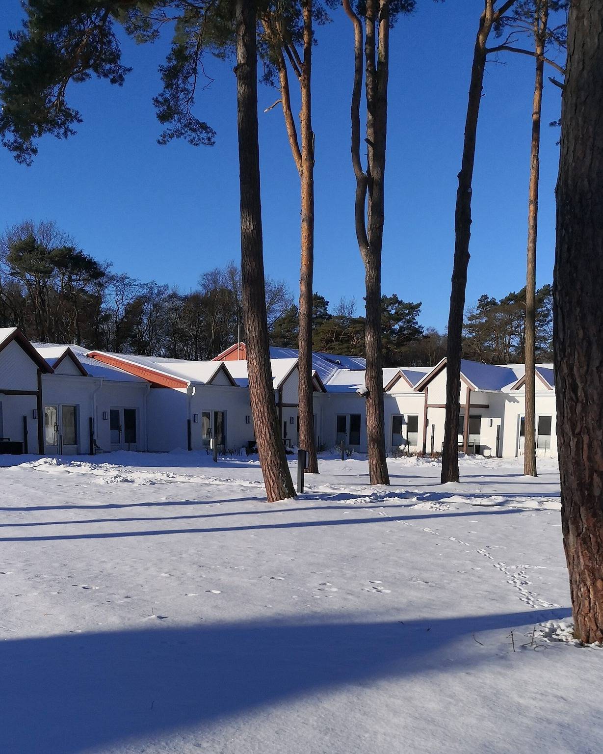 Entire apartment, Apartment 'Ostseetraum' with Private Terrace, Wi-Fi and Air Conditioning in Ostseebad Prerow, Prerow