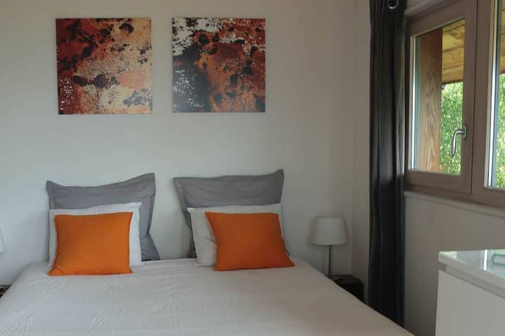 Villa pour 8 personnes, avec jardin à Talloires - 2