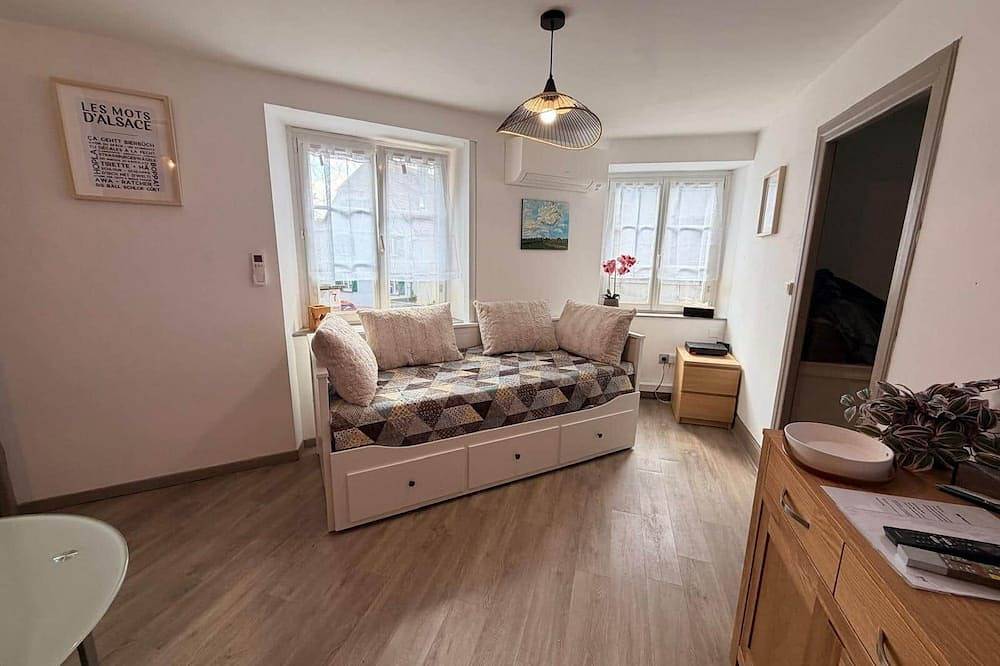 Appartement entier, La cigogne rêveuse 2 - F2 climatisé in Ensisheim, Région de Guebwiller