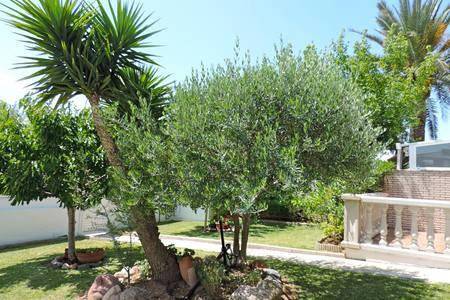 Chalet para 6 personas, con jardín en Baix Camp - 4